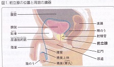 IMG_20250920_0016-3.jpg