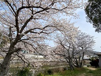 IMG_7179-3.jpg