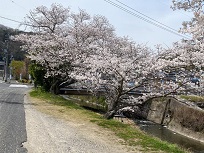 IMG_7189-3.jpg