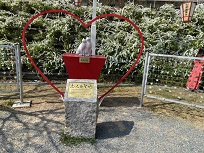 IMG_7211-3.jpg