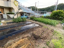IMG_7335-3.jpg