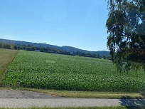 IMG_7449-3.jpg
