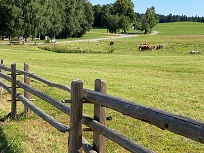 IMG_7479-3.jpg