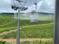 IMG_8376-3.jpg