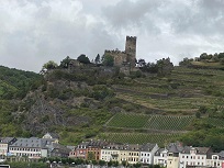 IMG_8433-3.jpg