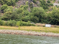 IMG_8443-3.jpg