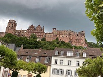 IMG_8466-3.jpg