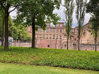 IMG_8482-3.jpg