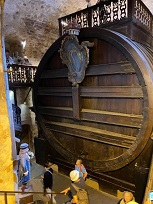 IMG_8508-3.jpg