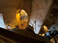 IMG_8511-3.jpg