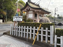 IMG_9168-3.jpg