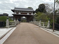 IMG_9186-3.jpg