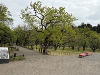 IMG_9220-3.jpg