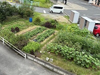 IMG_9475-3.jpg