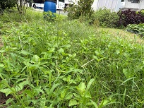 IMG_9476-3.jpg