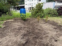 IMG_9477-.jpg