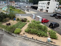 IMG_9508-3.jpg