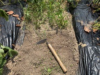 IMG_9521-3.jpg