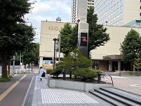 IMG_9533-3.jpg