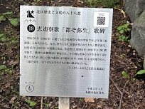 IMG_9550-3.jpg