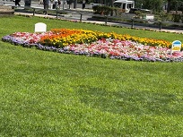 IMG_9580-3.jpg